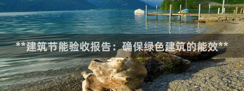 E尊国际：**建筑节能验收报告：确保绿色建筑的能效**