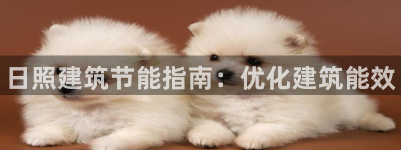 e尊国际是个黑网：日照建筑节能指南：优化建筑能效