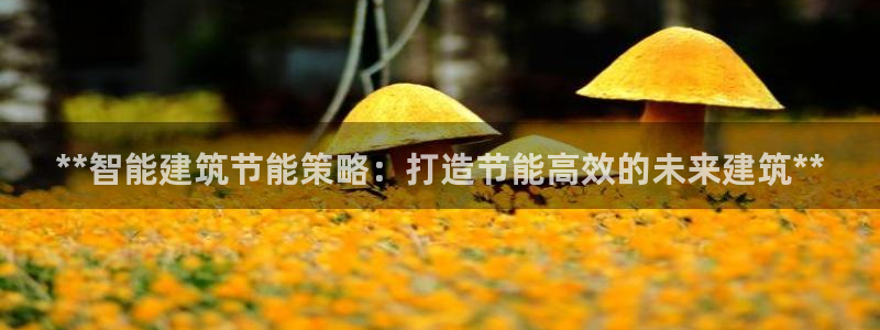 e尊国际官网·网址：**智能建筑节能策略：打造节能高效的未来建筑**