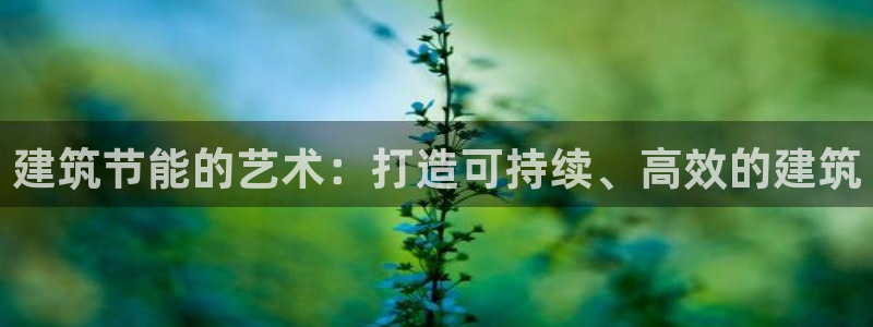 谁知道e尊国际的网址：建筑节能的艺术：打造可持续、高效的建筑