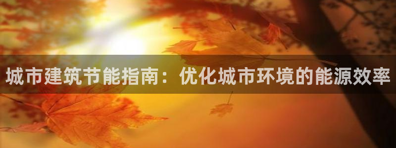 e尊国际娱乐官网地址：城市建筑节能指南：优化城市环境的能源效率