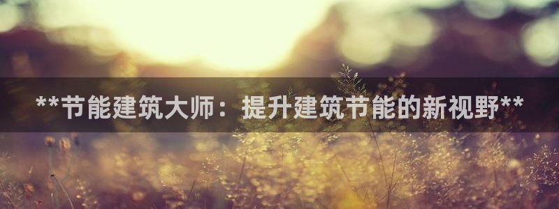 e尊国际平台：**节能建筑大师：提升建筑节能的新视野**
