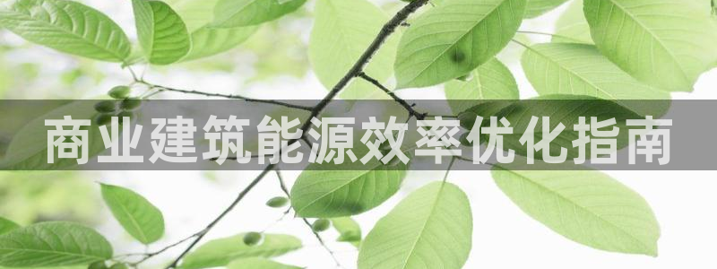 e尊国际7779：商业建筑能源效率优化指南