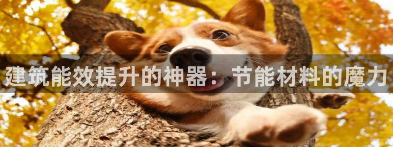 e尊国际官网app：建筑能效提升的神器：节能材料的魔力