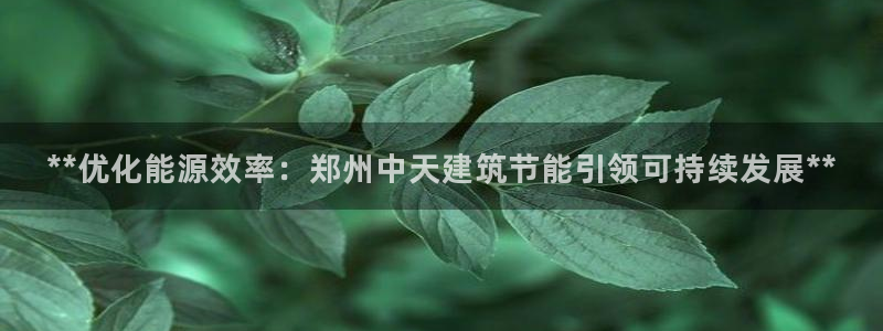 e尊国际平台：**优化能源效率：郑州中天建筑节能引领可持续发展**