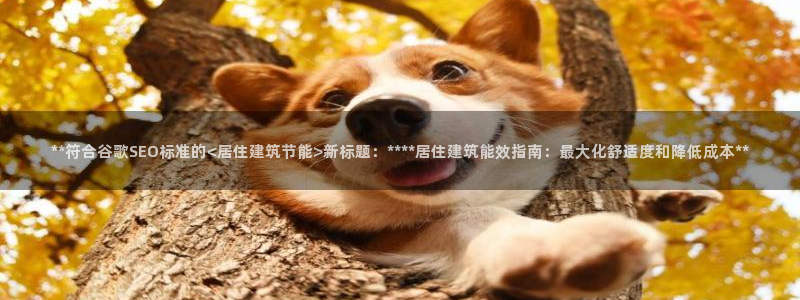 e尊国际平台：**符合谷歌SEO标准的<居住建筑节能>新标题：****居住建筑能效指南：最大化舒适度和降低成本**