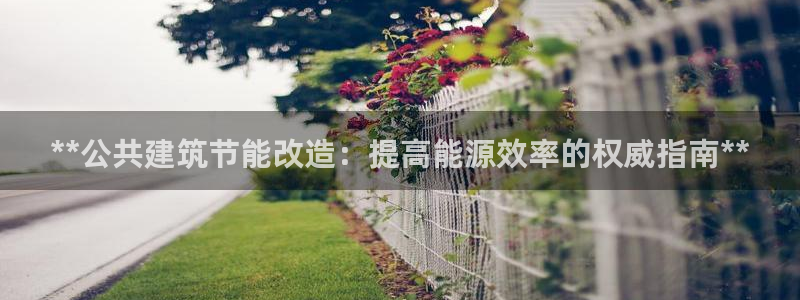 e尊国际app：**公共建筑节能改造：提高能源效率的权威指南**