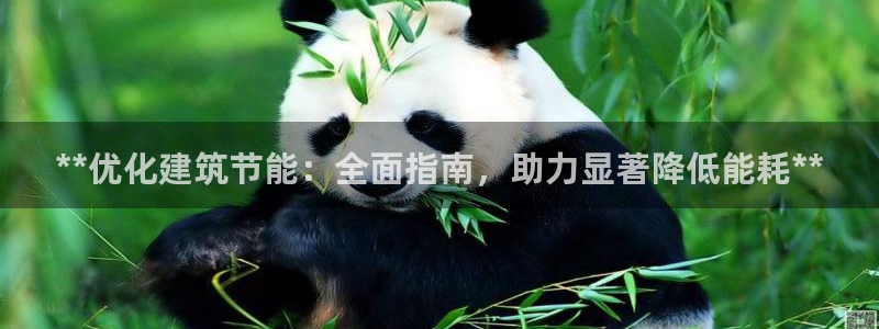 E尊国际：**优化建筑节能：全面指南，助力显著降低能耗**