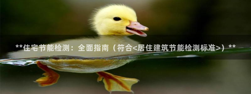 e尊国际-e尊国际官网：**住宅节能检测：全面指南（符合<居住建筑节能检测标准>）**