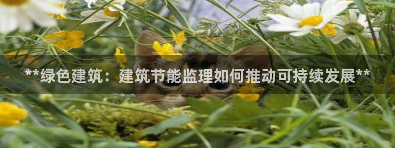 e尊国际官网：**绿色建筑：建筑节能监理如何推动可持续发展**