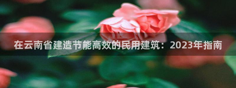 e尊国际客户端下载：在云南省建造节能高效的民用建筑：2023年指南