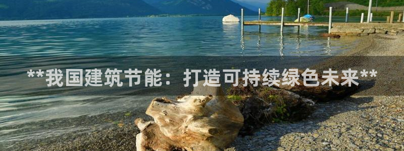 E尊国际网站：**我国建筑节能：打造可持续绿色未来**