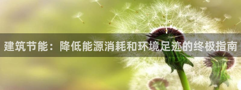 e尊国际平台：建筑节能：降低能源消耗和环境足迹的终极指南