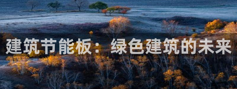 e尊国际地址：建筑节能板：绿色建筑的未来