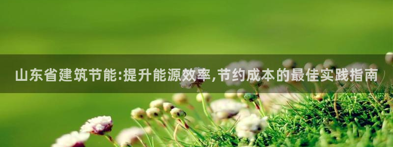e尊国际官网·网址：山东省建筑节能:提升能源效率,节约成本的最佳实践指南