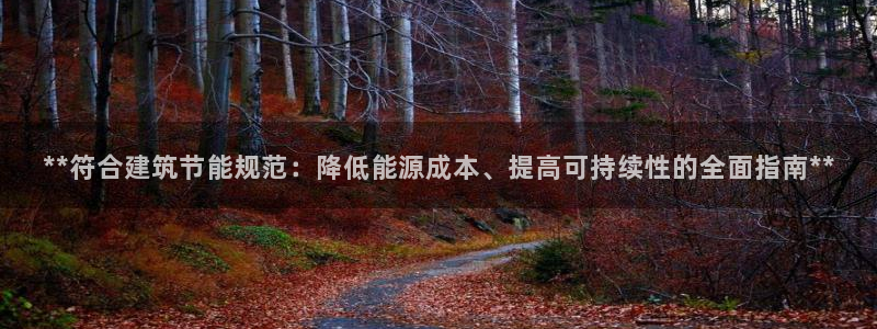 e尊国际可靠吗：**符合建筑节能规范：降低能源成本、提高可持续性的全面指南**