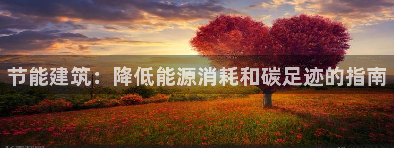 e尊国际客户端下载：节能建筑：降低能源消耗和碳足迹的指南