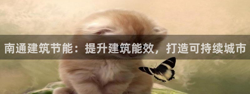 e尊体育：南通建筑节能：提升建筑能效，打造可持续城市