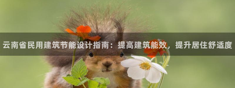 e尊国际客户端下载：云南省民用建筑节能设计指南：提高建筑能效，提升居住舒适度