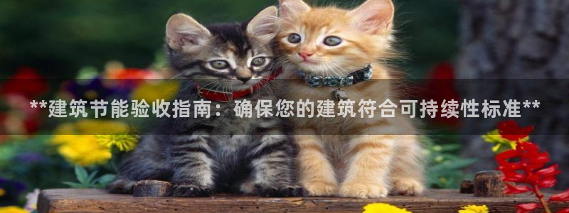 e尊国际平台：**建筑节能验收指南：确保您的建筑符合可持续性标准**