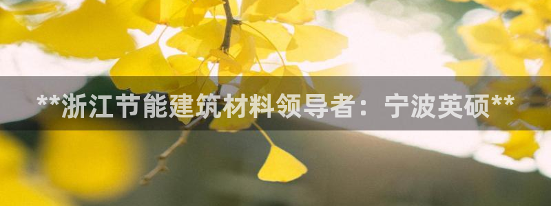 e尊国际娱乐官网地址：**浙江节能建筑材料领导者：宁波英硕**