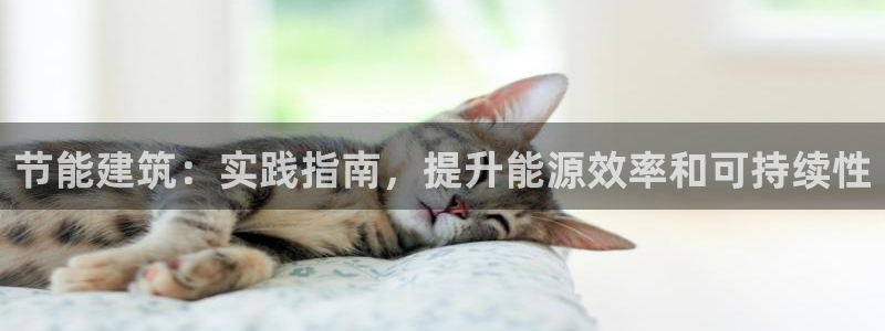e尊国际娱乐官网地址：节能建筑：实践指南，提升能源效率和可持续性