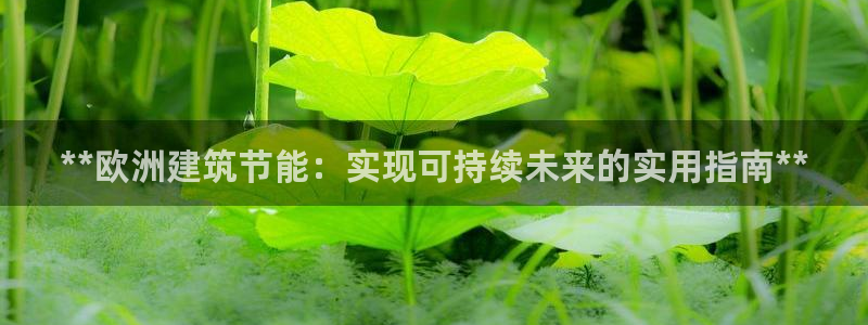 e尊国际是个黑网：**欧洲建筑节能：实现可持续未来的实用指南**