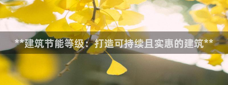 e尊国际平台：**建筑节能等级：打造可持续且实惠的建筑**