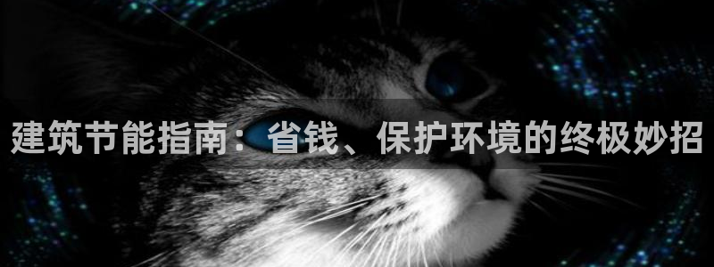e尊国际7779：建筑节能指南：省钱、保护环境的终极妙招