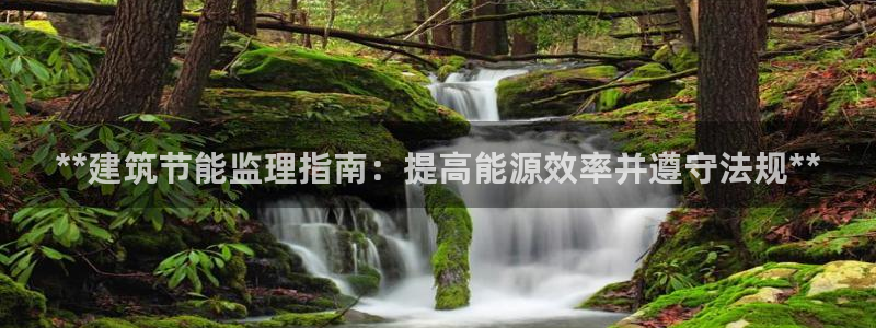 e尊国际客服：**建筑节能监理指南：提高能源效率并遵守法规**