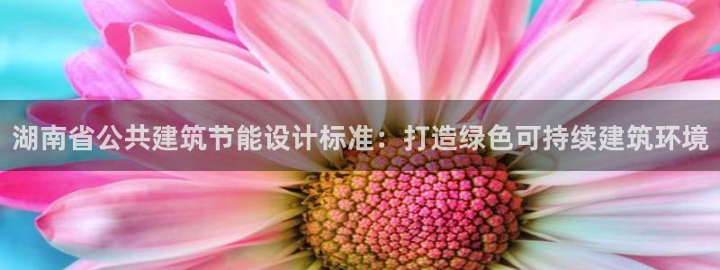 e尊国际官网：湖南省公共建筑节能设计标准：打造绿色可持续建筑环境
