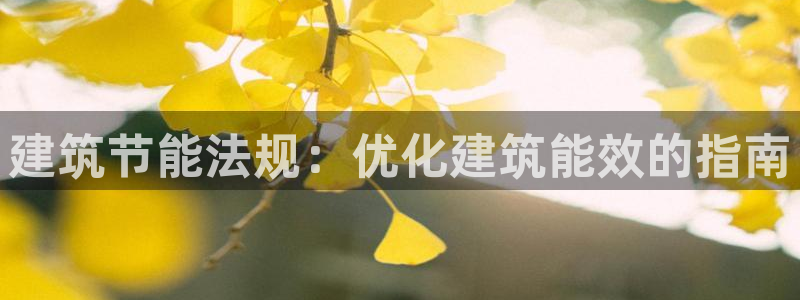 e尊国际app：建筑节能法规：优化建筑能效的指南
