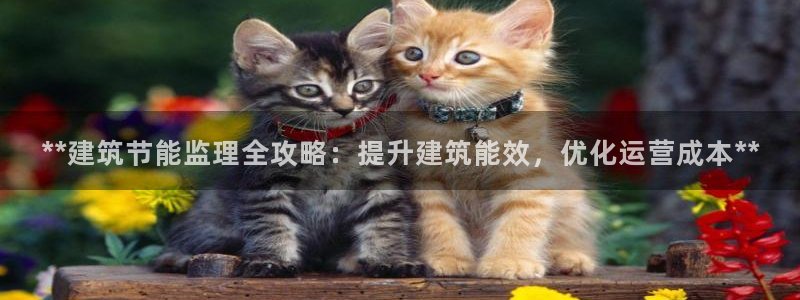 谁知道e尊国际的网址：**建筑节能监理全攻略：提升建筑能效，优化运营成本**