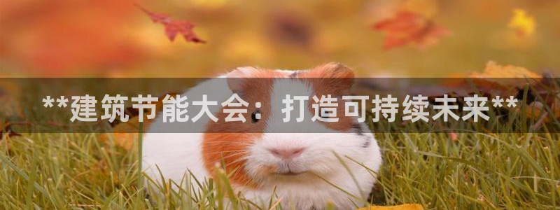 尊亿游戏国际官网：**建筑节能大会：打造可持续未来**