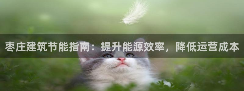 e尊官网：枣庄建筑节能指南：提升能源效率，降低运营成本