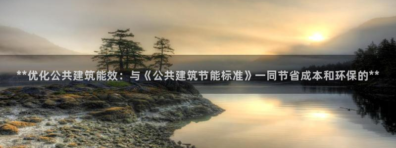 谁知道e尊国际的网址：**优化公共建筑能效：与《公共建筑节能标准》一同节省成本和环保的**