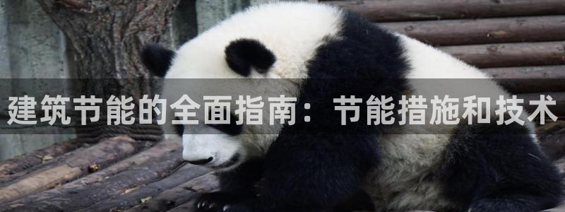 e尊国际平台：建筑节能的全面指南：节能措施和技术