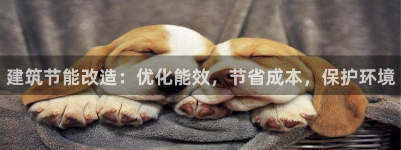 e尊国际娱乐官网下载：建筑节能改造：优化能效，节省成本，保护环境