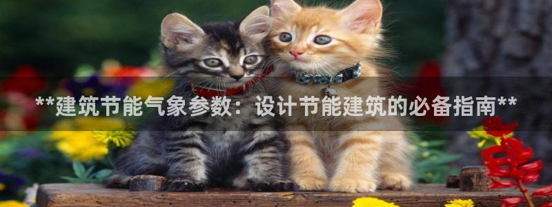 e尊平台：**建筑节能气象参数：设计节能建筑的必备指南**