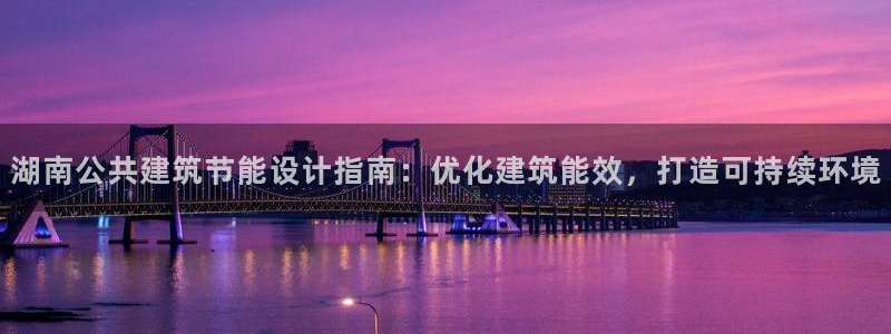E尊国际网站：湖南公共建筑节能设计指南：优化建筑能效，打造可持续环境
