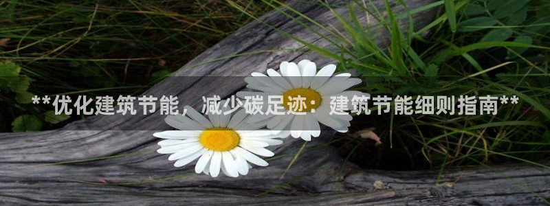 e尊国际客户端：**优化建筑节能，减少碳足迹：建筑节能细则指南**