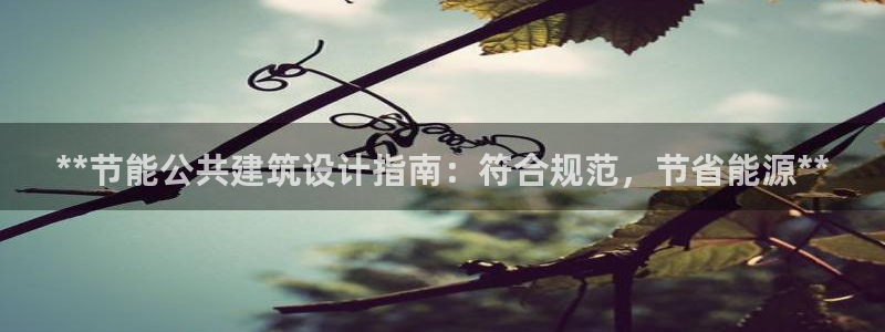 谁知道e尊国际的网址：**节能公共建筑设计指南：符合规范，节省能源**