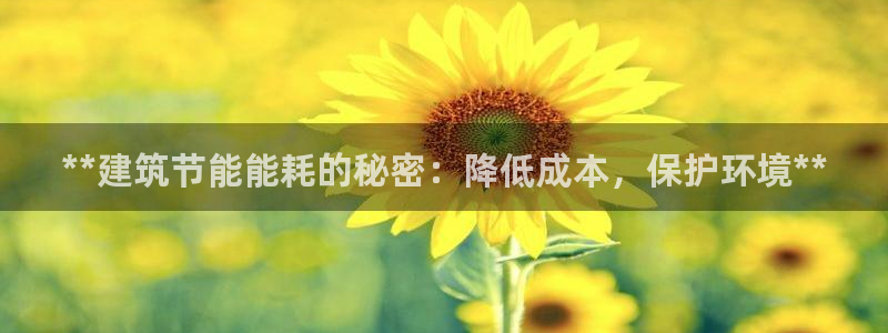 e尊国际官网app：**建筑节能能耗的秘密：降低成本，保护环境**