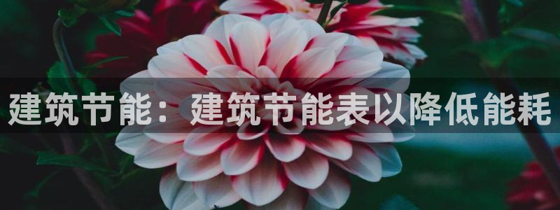 谁知道e尊国际的网址：建筑节能：建筑节能表以降低能耗