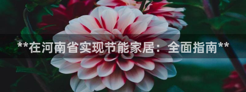 e尊国际是干什么的：**在河南省实现节能家居：全面指南**