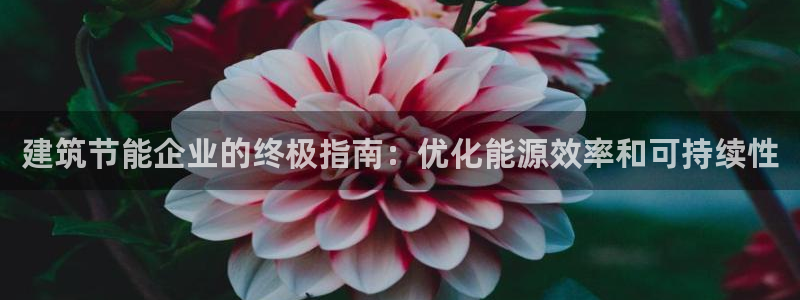 e尊国际地址：建筑节能企业的终极指南：优化能源效率和可持续性
