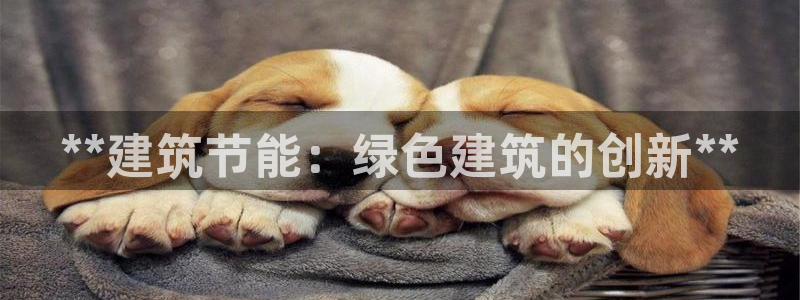 e尊国际可靠吗：**建筑节能：绿色建筑的创新**