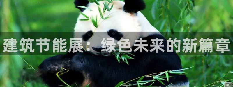 e尊国际客户端下载：建筑节能展：绿色未来的新篇章
