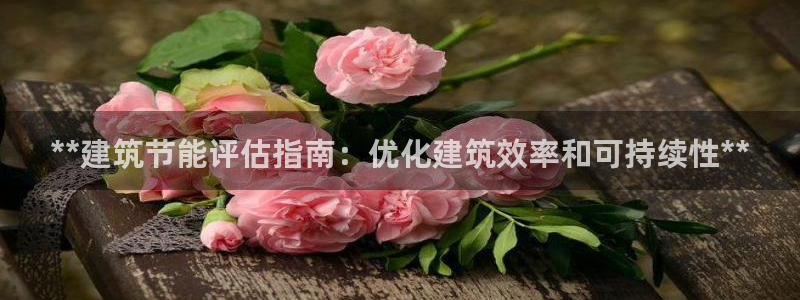e尊国际是个黑网：**建筑节能评估指南：优化建筑效率和可持续性**