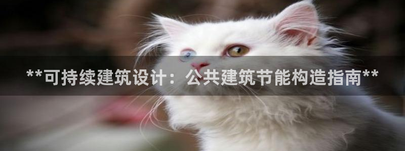 尊亿娱乐国际官网：**可持续建筑设计：公共建筑节能构造指南**